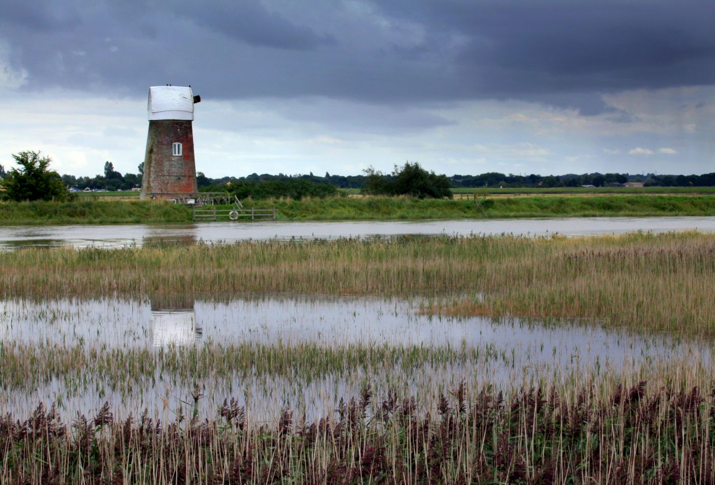 Marshes in Norfolk.