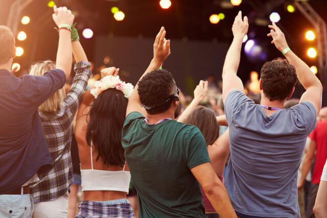 Back of audience at music festival