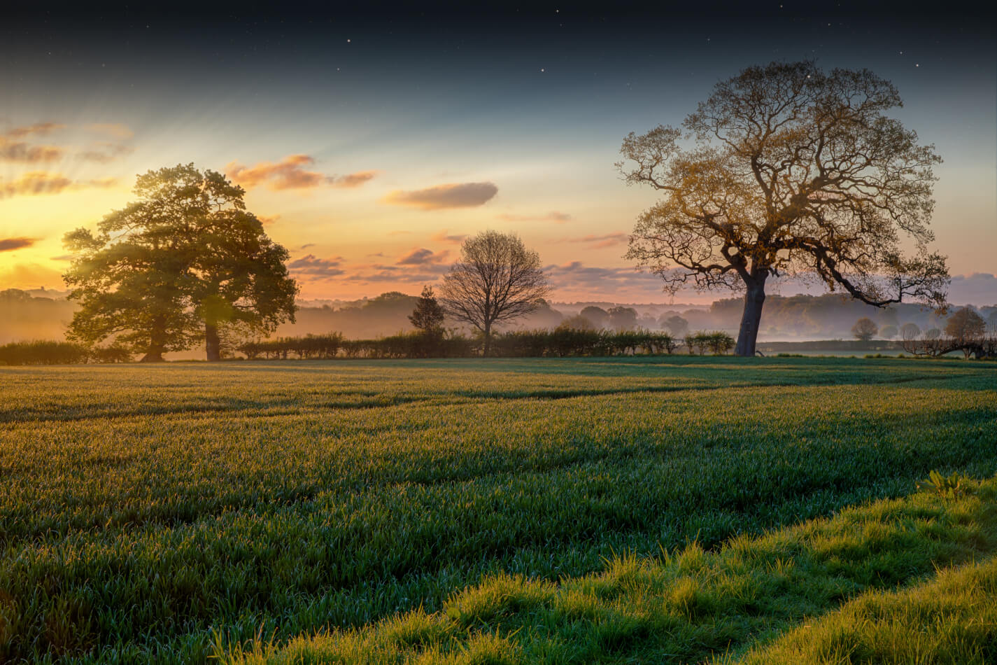 Norfolk, UK countryside