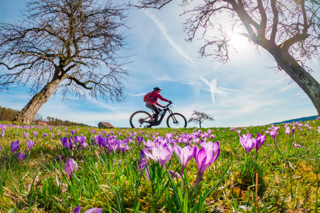 man cycling in pretty meadow